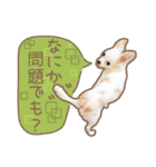 愛犬チワワのちくわ（個別スタンプ：24）