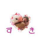 味付け文鳥（日常ver.）（個別スタンプ：1）