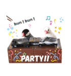 味付け文鳥（日常ver.）（個別スタンプ：3）