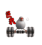 味付け文鳥（日常ver.）（個別スタンプ：11）