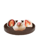 味付け文鳥（日常ver.）（個別スタンプ：19）