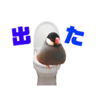 味付け文鳥（日常ver.）（個別スタンプ：26）