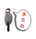 味付け文鳥（日常ver.）（個別スタンプ：32）