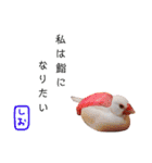 味付け文鳥（日常ver.）（個別スタンプ：39）