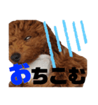 ほったんほったん/使える日常スタンプ（個別スタンプ：7）