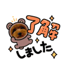 ほったんほったん/使える日常スタンプ（個別スタンプ：12）