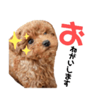 ほったんほったん/使える日常スタンプ（個別スタンプ：30）