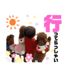 ほったんほったん/使える日常スタンプ（個別スタンプ：34）