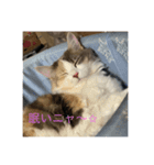 ブーとサクラ（個別スタンプ：6）