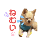 らいとみ-ちゃん（個別スタンプ：1）