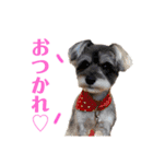 E.R.T（個別スタンプ：1）