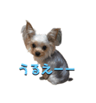 E.R.T（個別スタンプ：6）