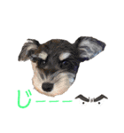 E.R.T（個別スタンプ：10）