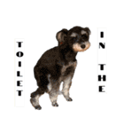 E.R.T（個別スタンプ：11）