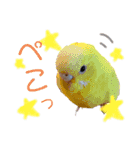 E.R.T（個別スタンプ：16）