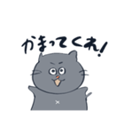 にくめない猫①（個別スタンプ：8）