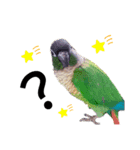 あらあらアロエちゃん☘ウロコインコ（個別スタンプ：6）
