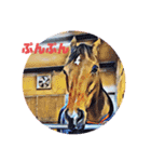 海外の競馬場その1（個別スタンプ：12）