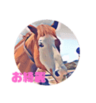 海外の競馬場その1（個別スタンプ：13）