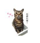 ちこともも（個別スタンプ：4）