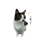 ちこともも（個別スタンプ：5）