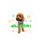 愛すべきくうちゃん第三弾（個別スタンプ：4）
