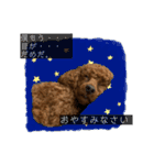 愛すべきくうちゃん第三弾（個別スタンプ：14）