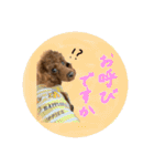 愛すべきくうちゃん第三弾（個別スタンプ：16）