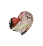 mogmog Come（個別スタンプ：3）