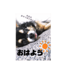 ももこと、おやつ。（個別スタンプ：12）
