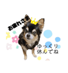 ももこと、おやつ。（個別スタンプ：19）
