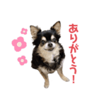 ももこと、おやつ。（個別スタンプ：20）