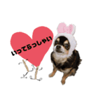 ももこと、おやつ。（個別スタンプ：23）