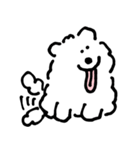 DOUHUA THE SAMOYED（個別スタンプ：6）