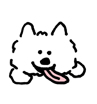 DOUHUA THE SAMOYED（個別スタンプ：8）