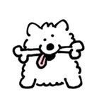 DOUHUA THE SAMOYED（個別スタンプ：12）