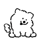 DOUHUA THE SAMOYED（個別スタンプ：31）