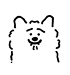 DOUHUA THE SAMOYED（個別スタンプ：36）