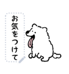 DOUHUA THE SAMOYED 文字入り（個別スタンプ：24）