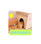 うさぎのみにたんの一日（個別スタンプ：4）