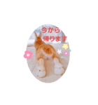 うさぎのみにたんの一日（個別スタンプ：5）