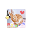 うさぎのみにたんの一日（個別スタンプ：6）