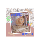 うさぎのみにたんの一日（個別スタンプ：9）