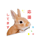 うさぎのみにたんの一日（個別スタンプ：15）