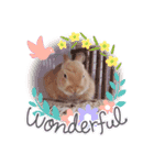 うさぎのみにたんの一日（個別スタンプ：16）