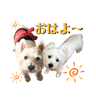 イブ＆きなこ（個別スタンプ：1）