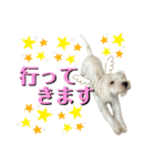 イブ＆きなこ（個別スタンプ：2）