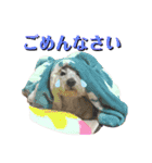 イブ＆きなこ（個別スタンプ：3）