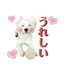 イブ＆きなこ（個別スタンプ：14）