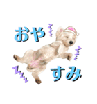 イブ＆きなこ（個別スタンプ：16）